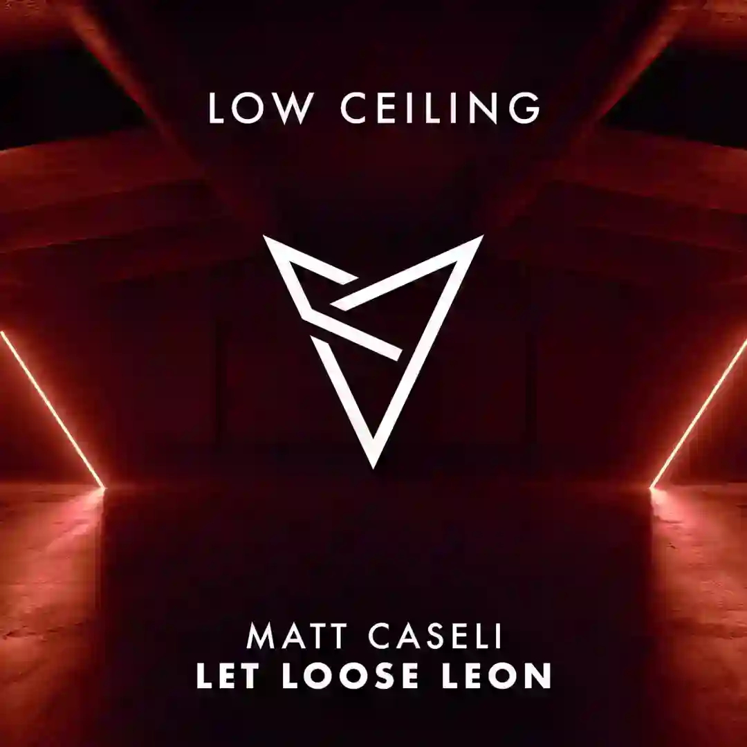 LET LOOSE LEON cover