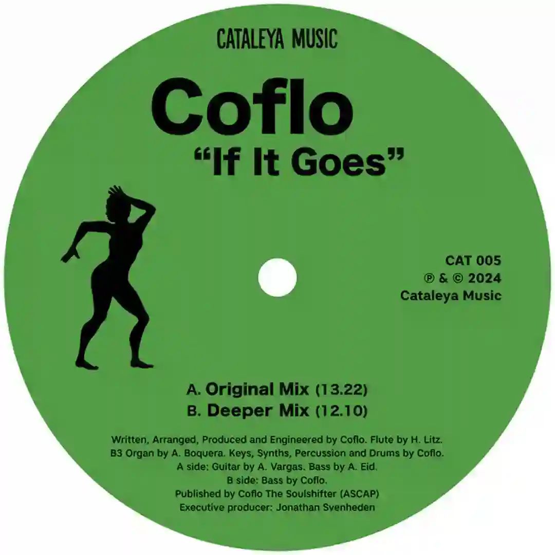 If It Goes cover