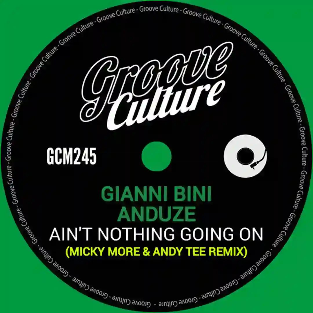 Ain't Nothing Going On cover