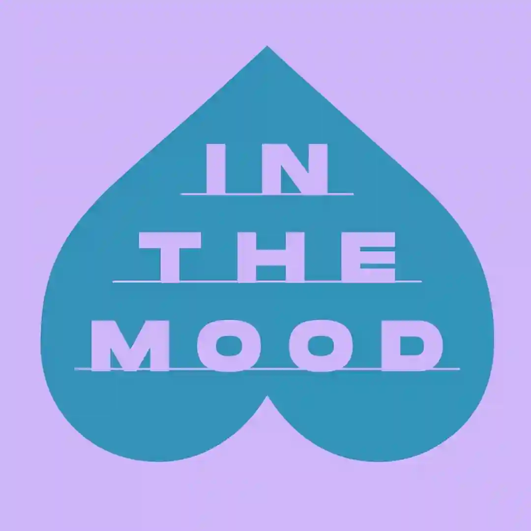 In The Mood (Menesix Extended Remix) cover