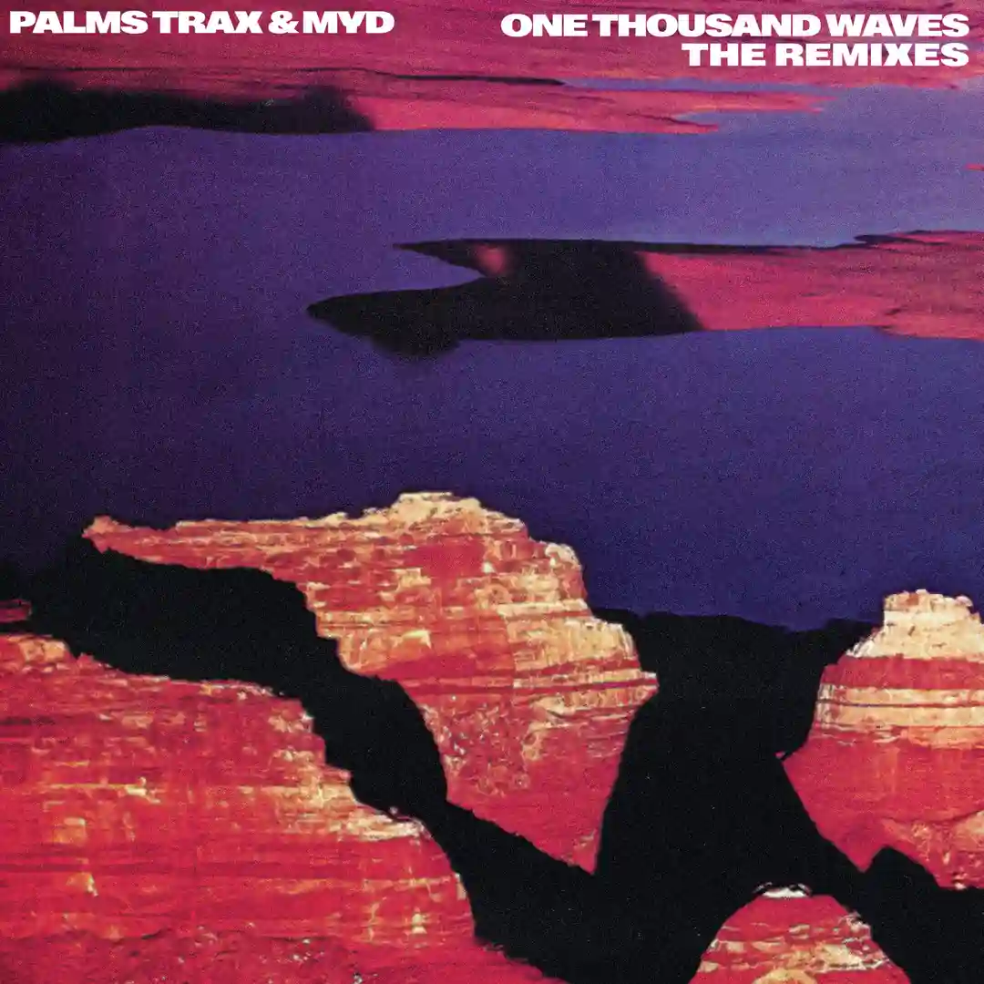 One Thousand Waves (Palms Trax & John Loveless Remix) cover