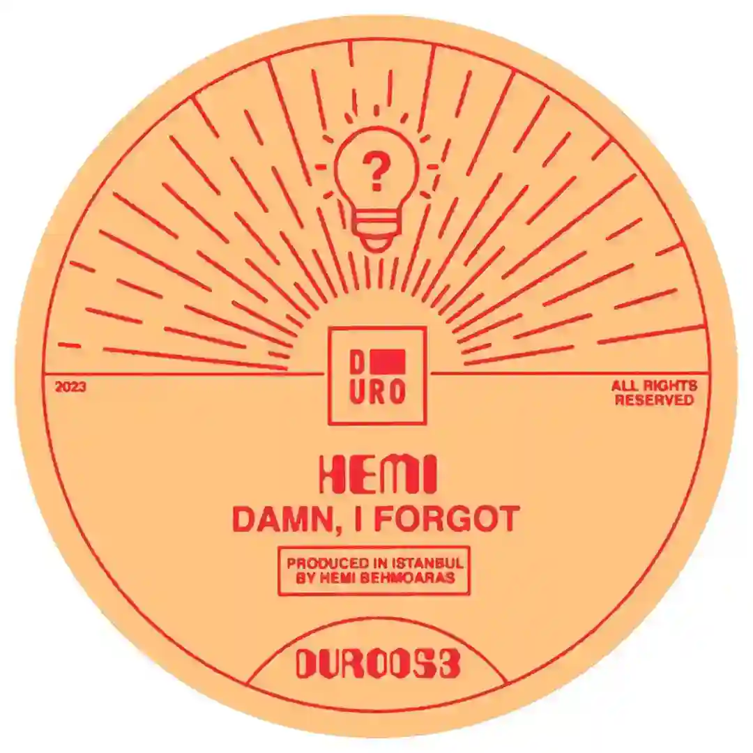 Damn, I Forgot - Niv Ast Remix cover