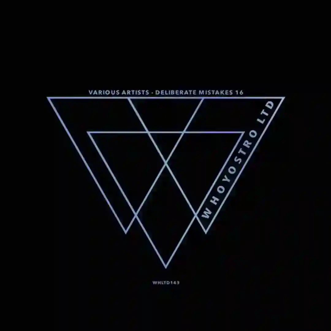 Furtive (Lucio Agustin Remix) cover