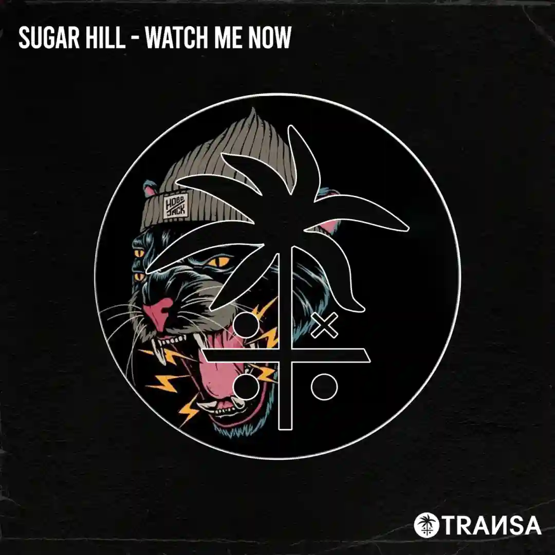 Watch Me Now (Extended Mix) cover