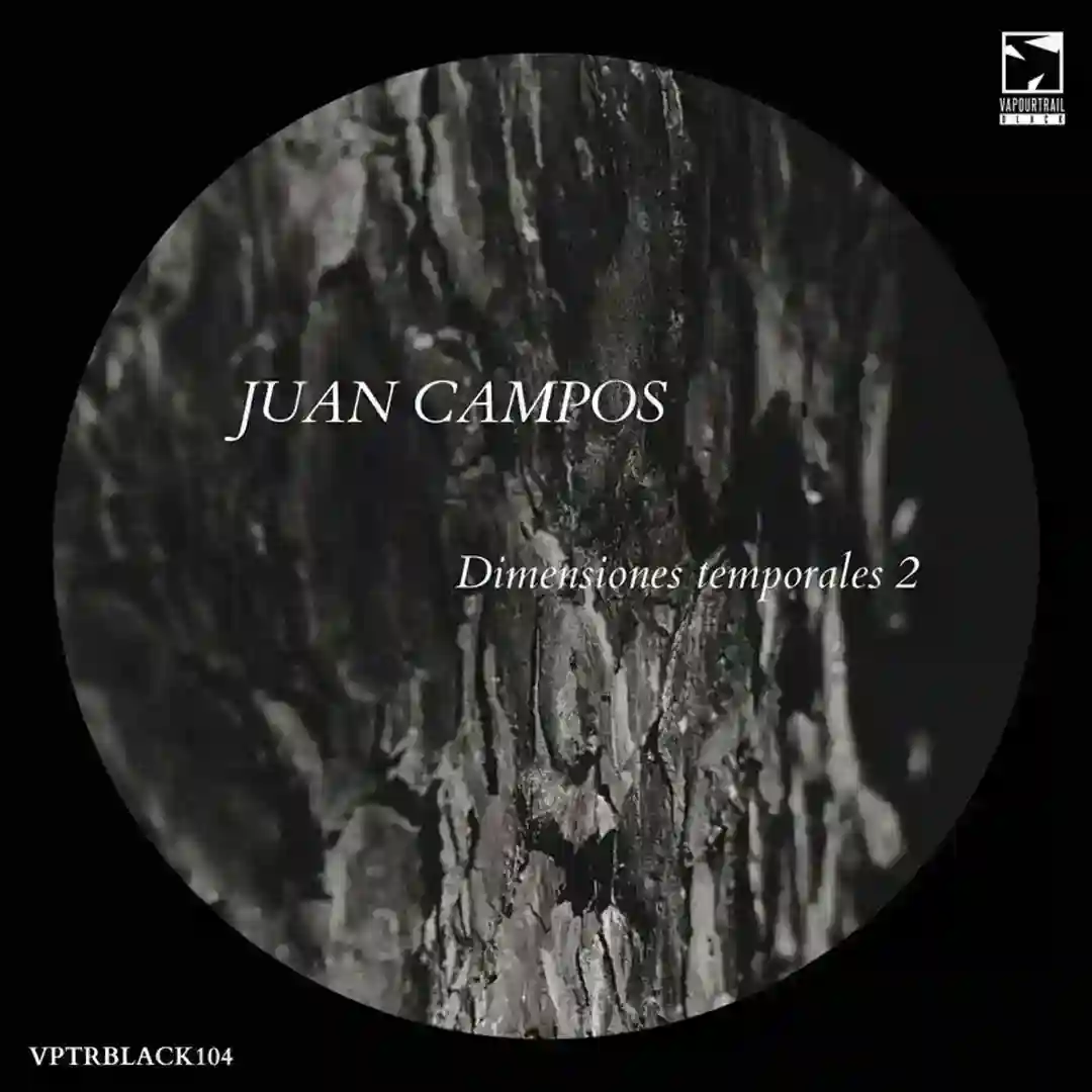 Dimensiones Temporales 2 cover