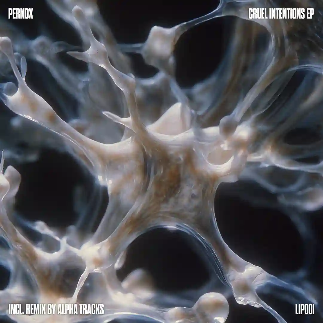 Cruel Intentions (Alpha Tracks Remix) cover