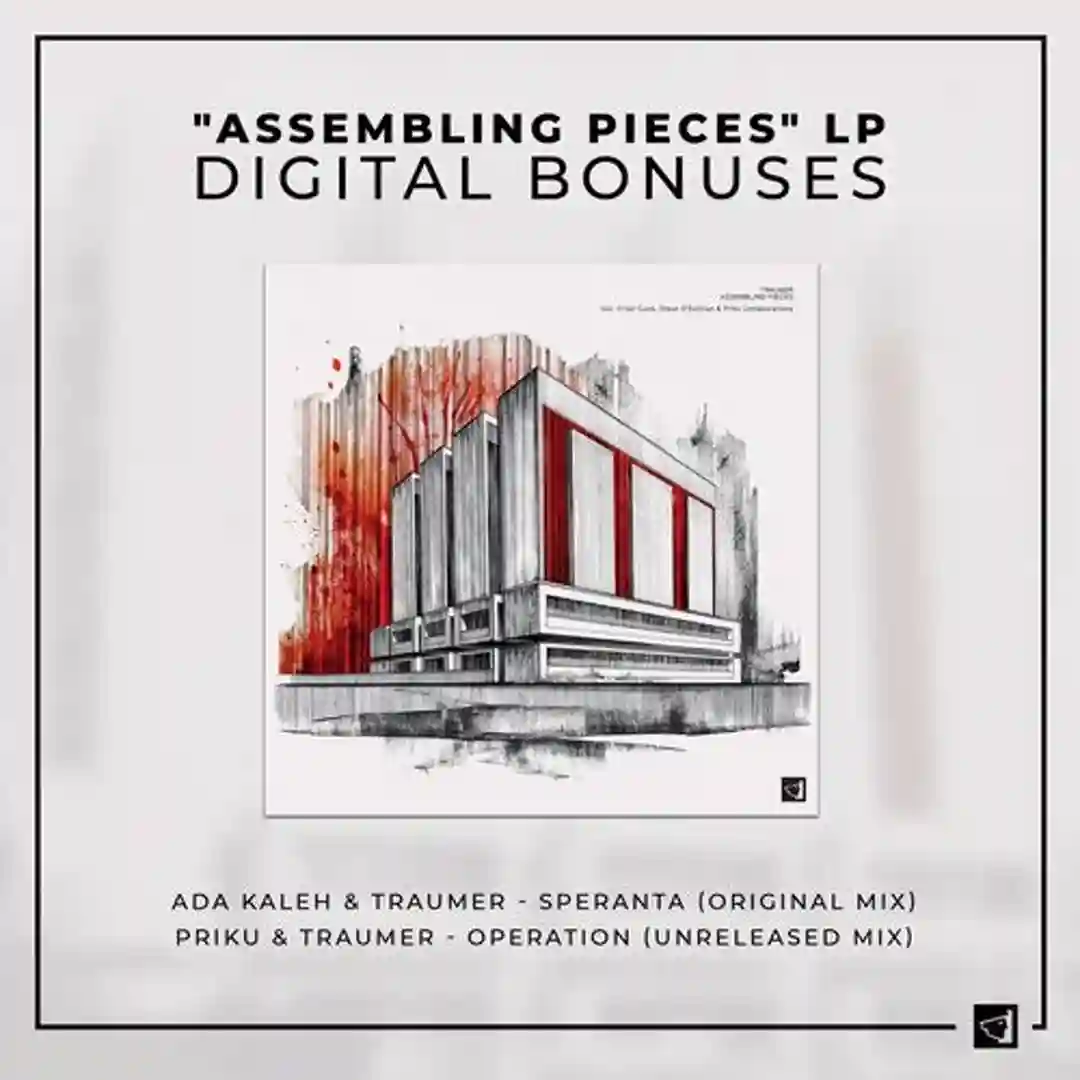 "Assembling Pieces" LP : Digital Bonuses cover