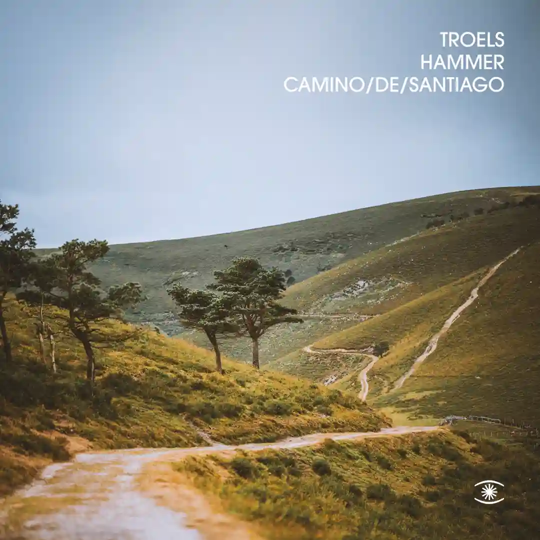Camino De Santiago cover