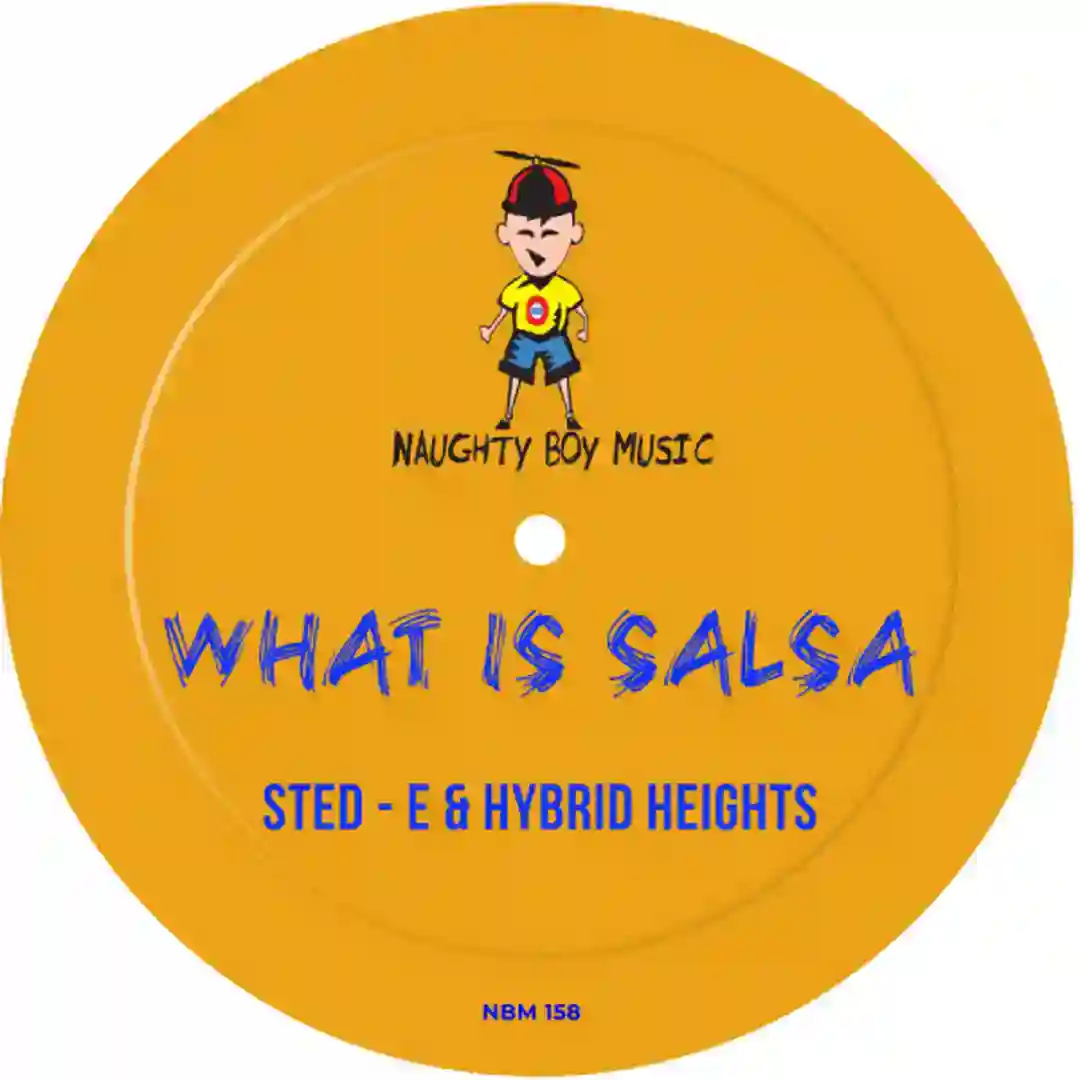 What Is Salsa cover