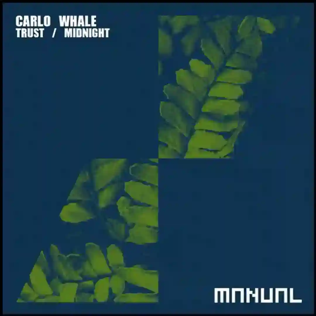 Trust / Midnight cover