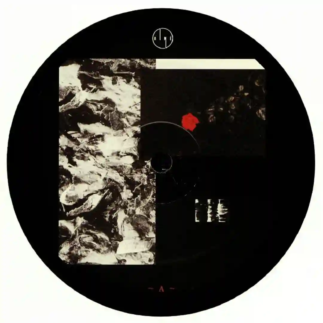  28064212 cover