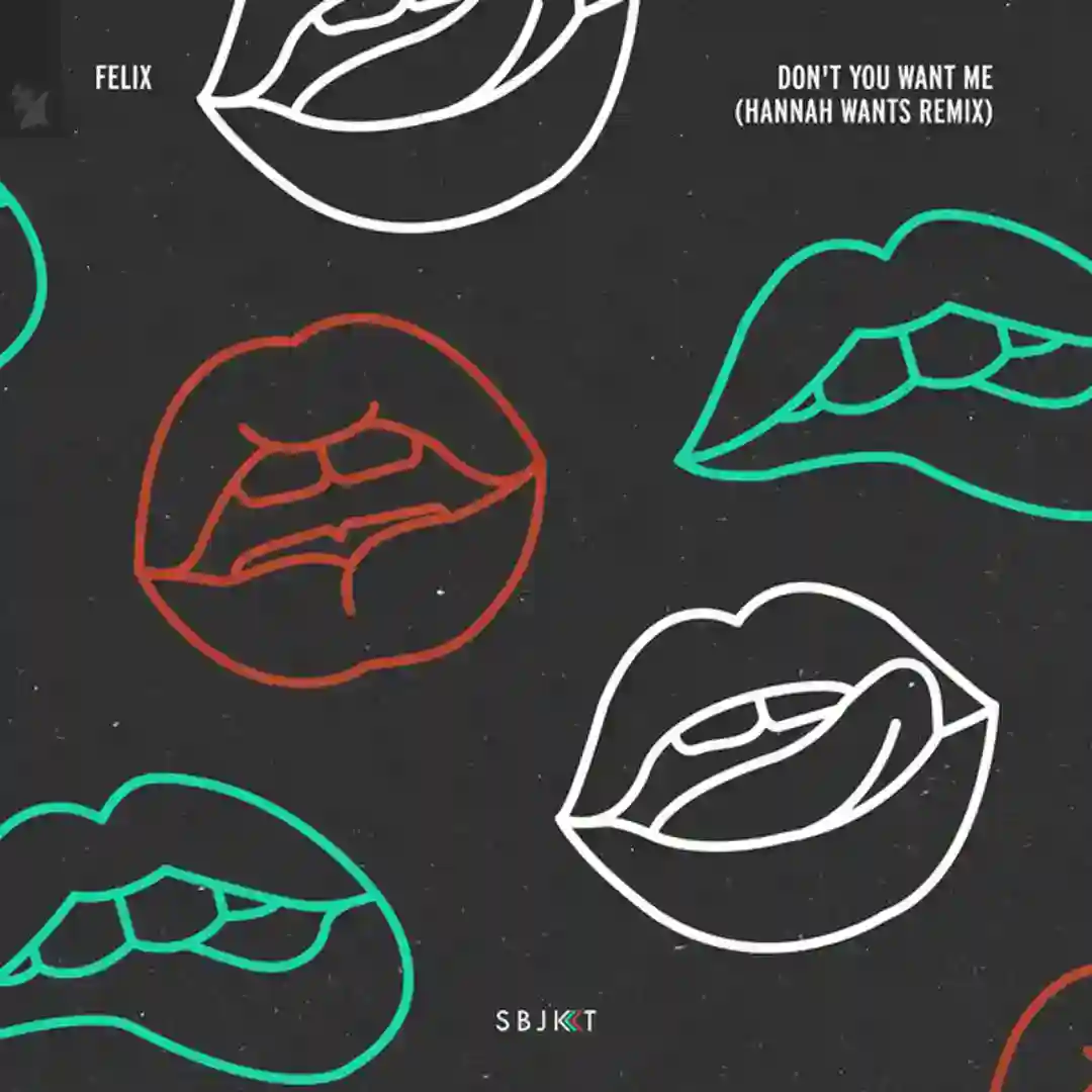 Don't You Want Me (Hannah Wants Remix) cover