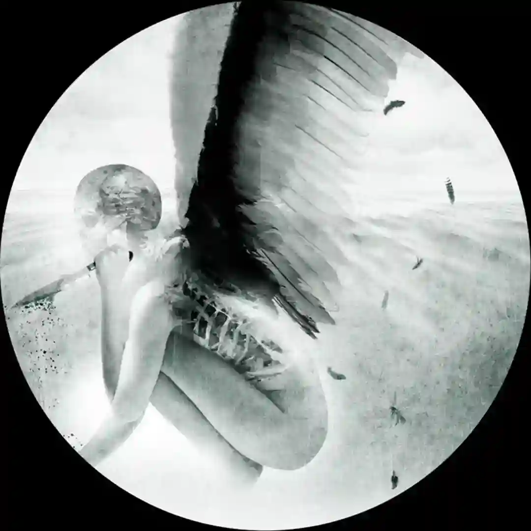 Temple of Solitude EP cover