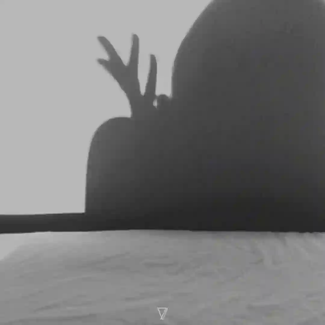 Viaje cover