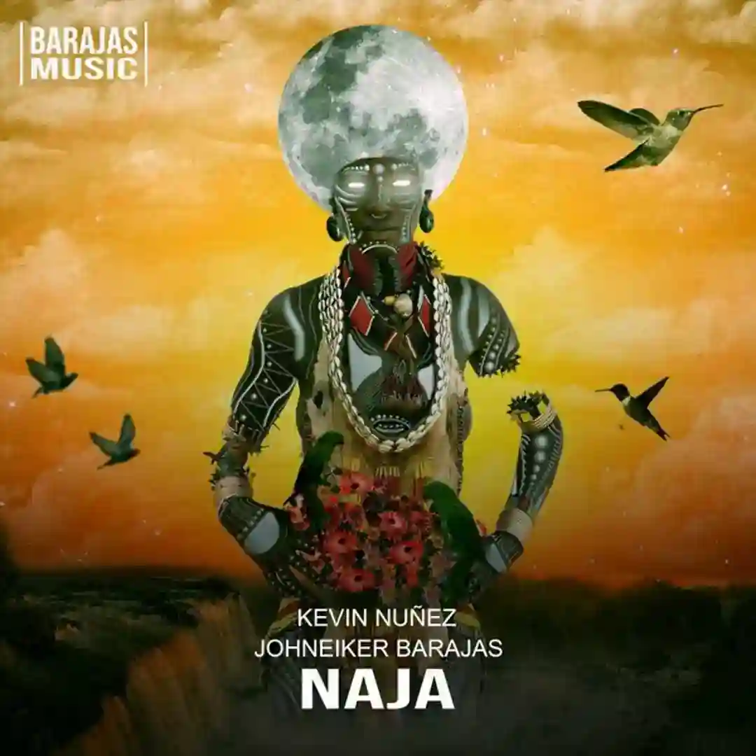 Naja (Original Mix) cover
