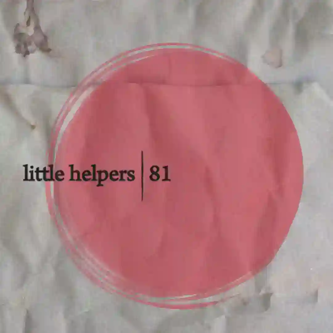 Little Helper 81-4 cover