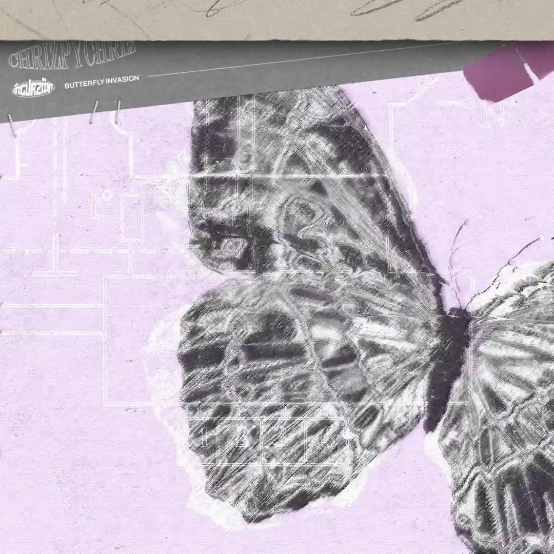 Butterfly Invasion (Original Mix) cover