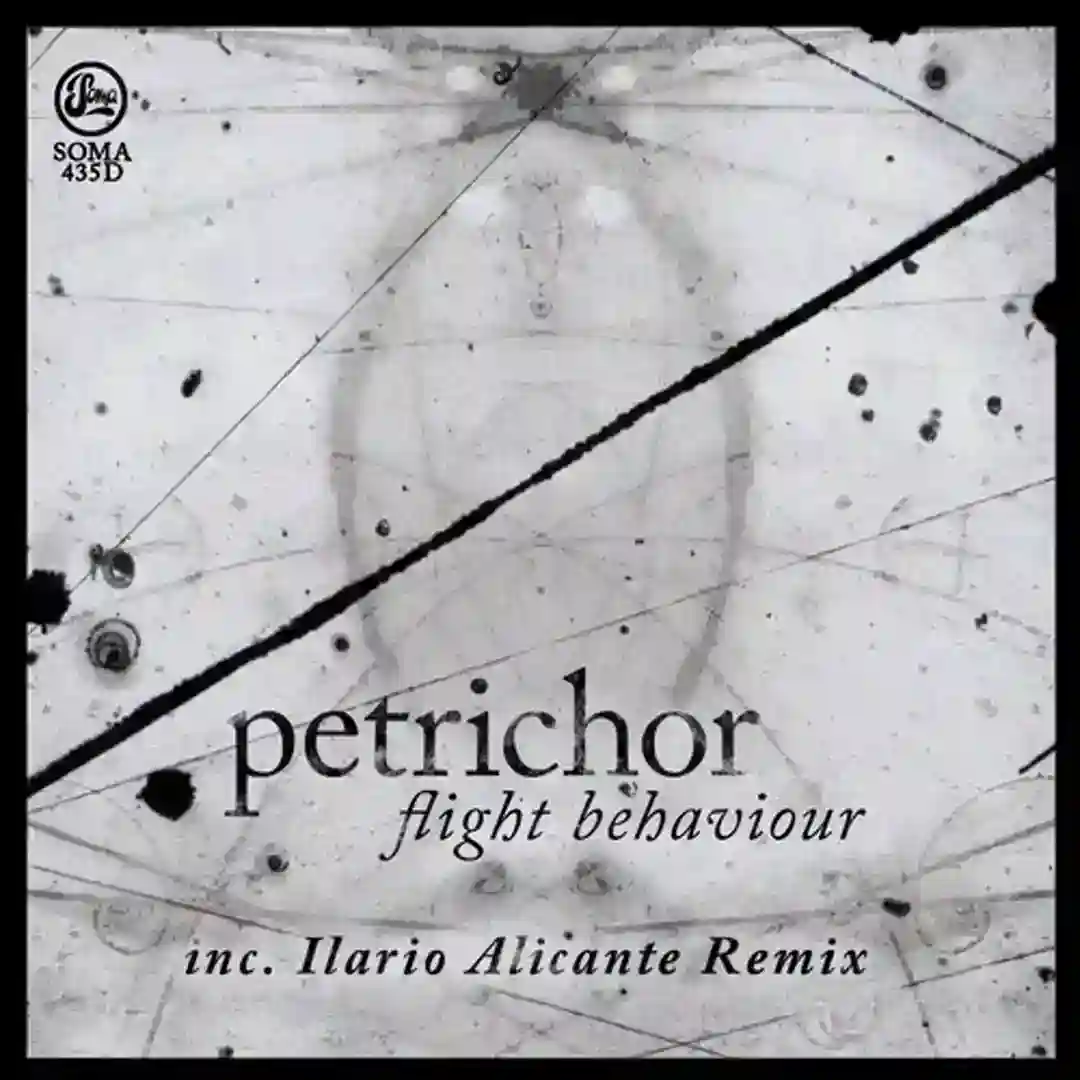 Flight Behviour cover