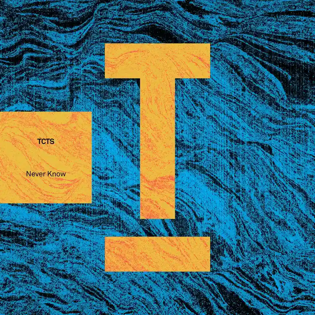 Never Know cover