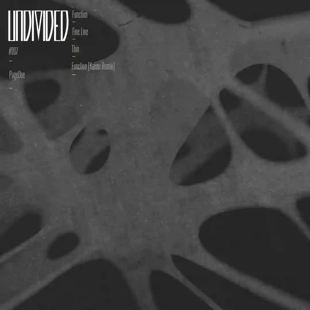 Undivided #007 cover