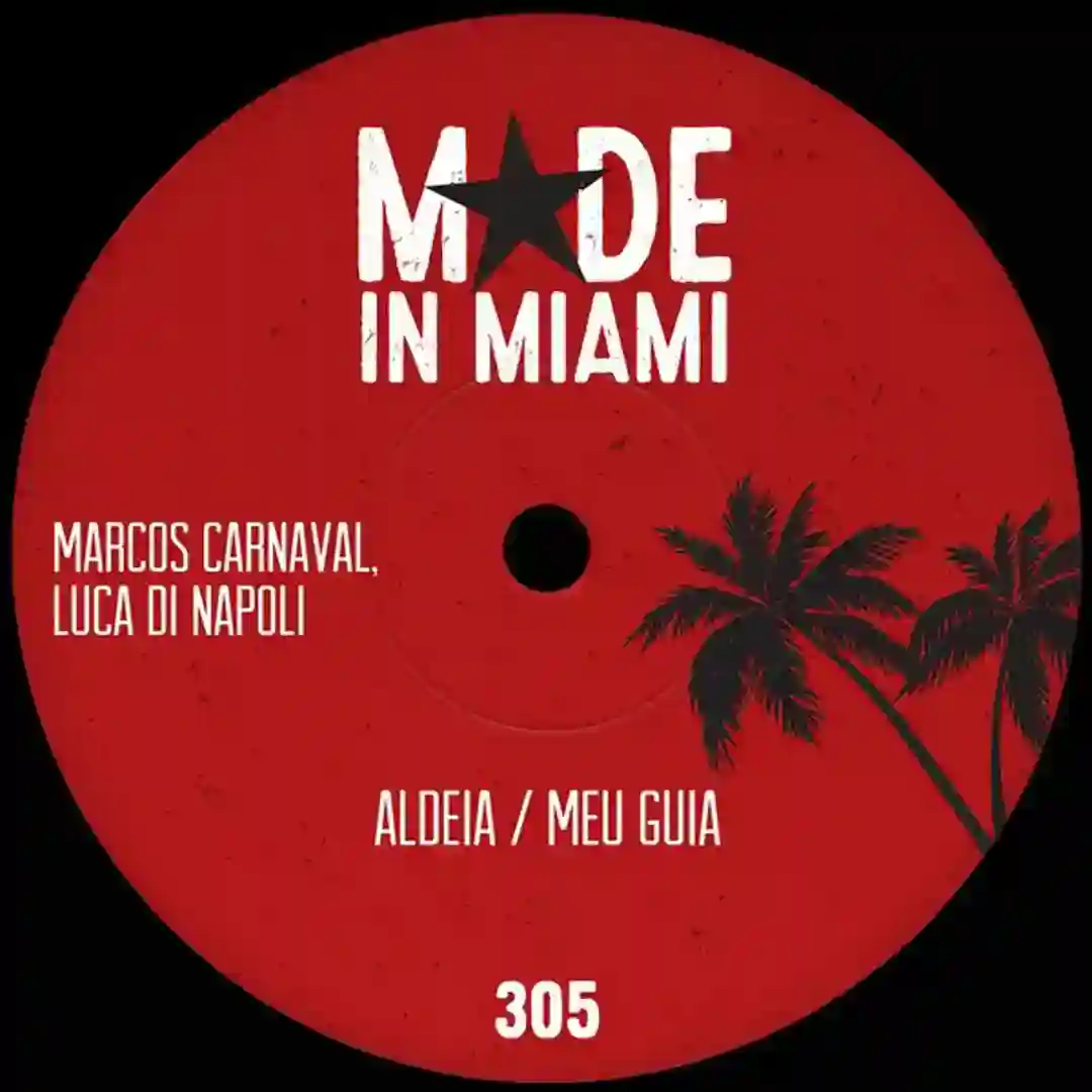 Meu Guia (feat. Anderson Nunes) cover