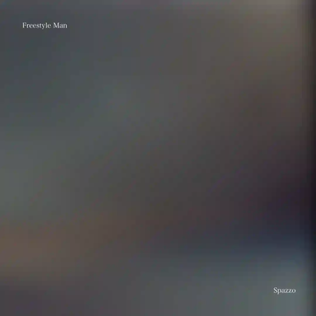 Spazzo cover