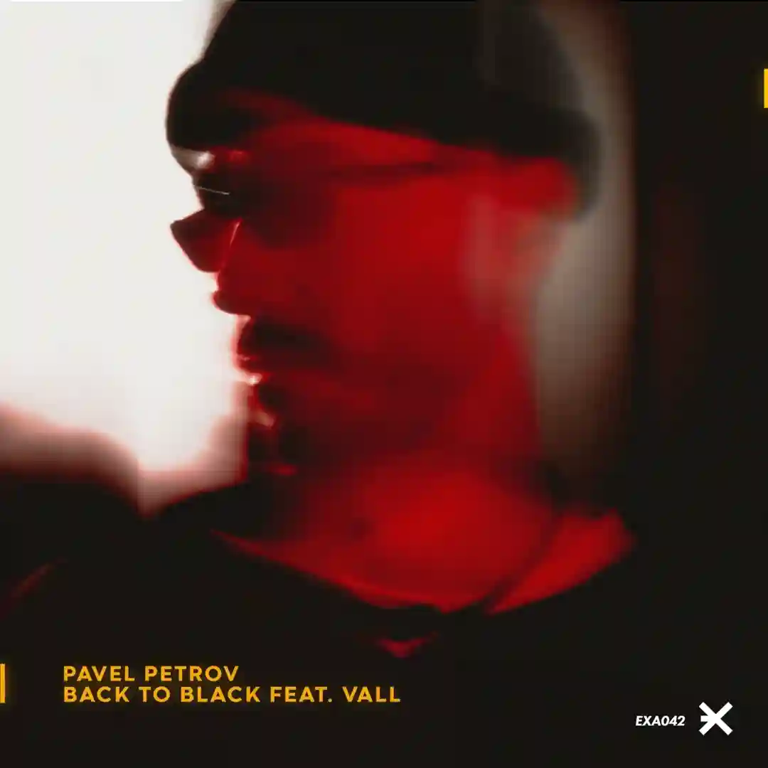 Back to Black cover
