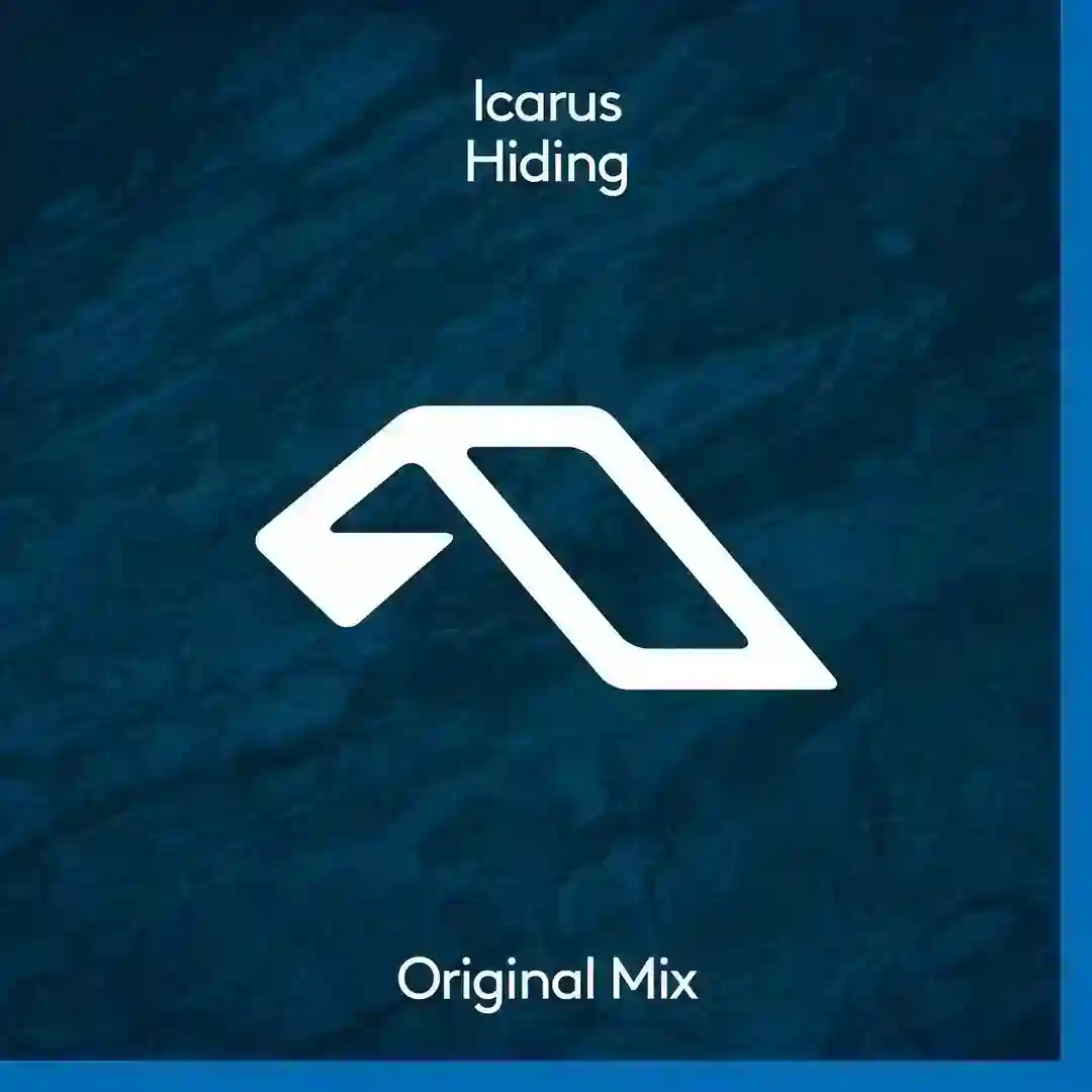 Hiding (Original Mix) cover