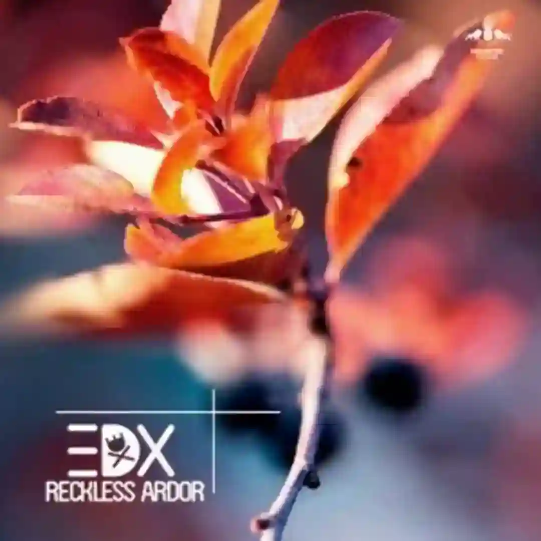Reckless Ardor (Original Mix) cover