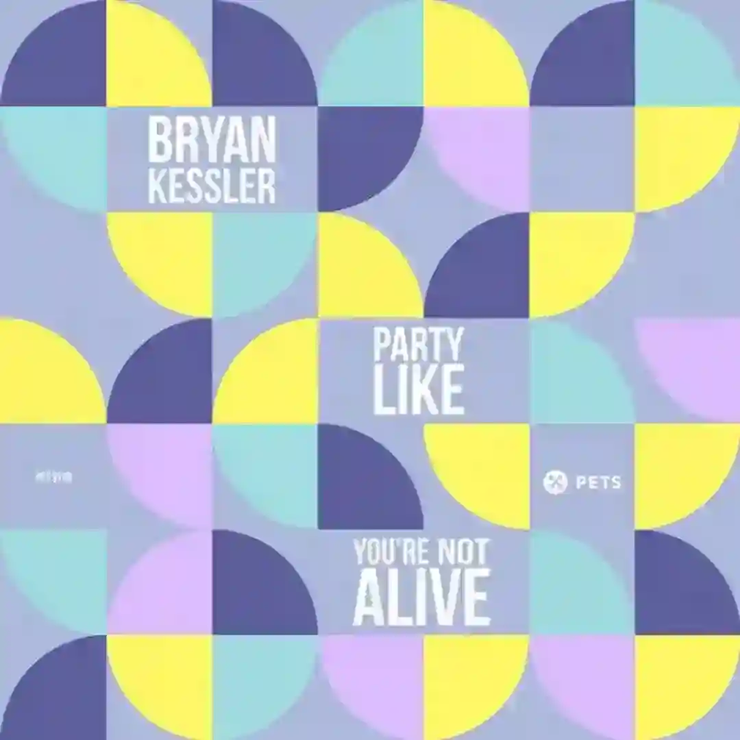 Party Like You're Not Alive cover