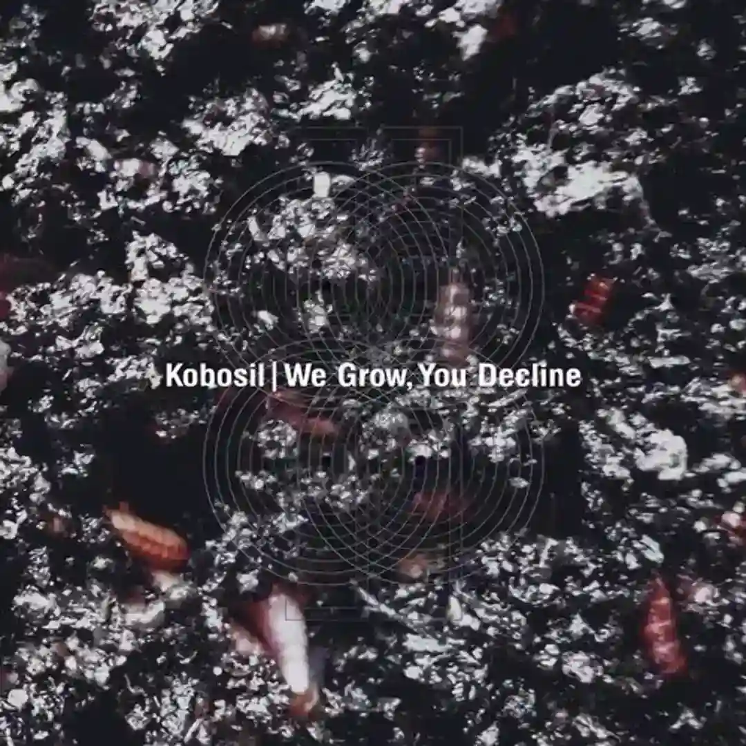While The Stars Be Not Darkened (Original Mix) cover