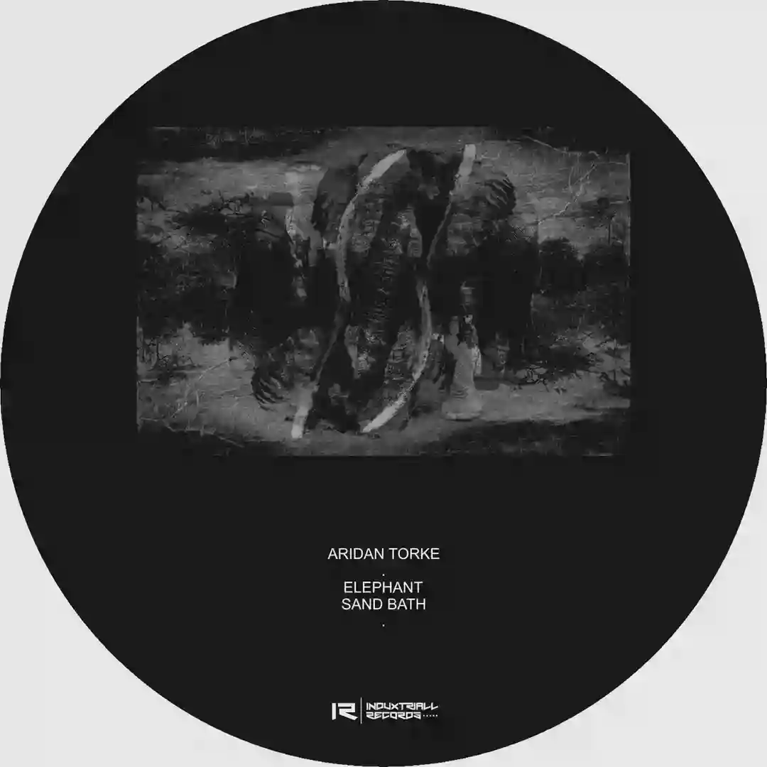Elephant sand batch cover