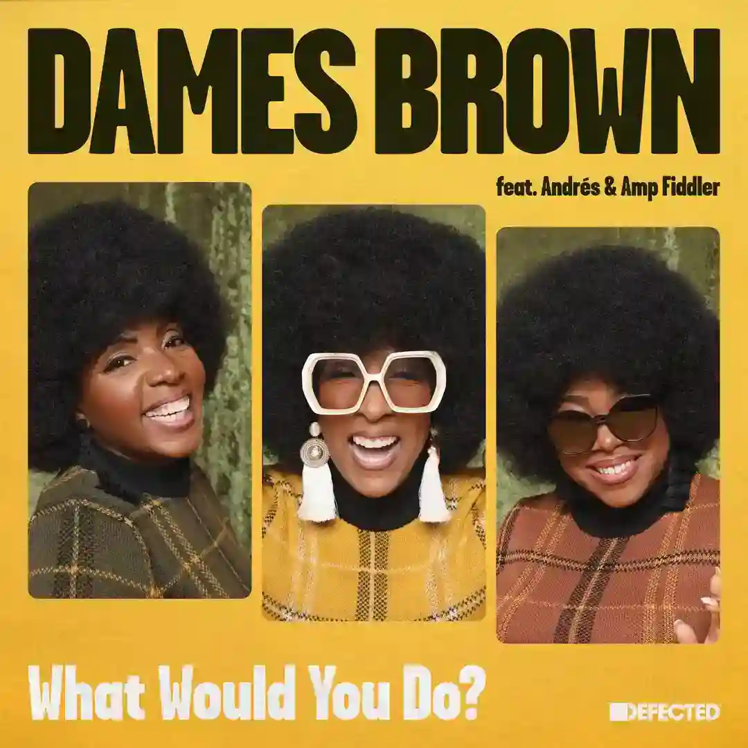 What Would You Do? - 12" Mix cover