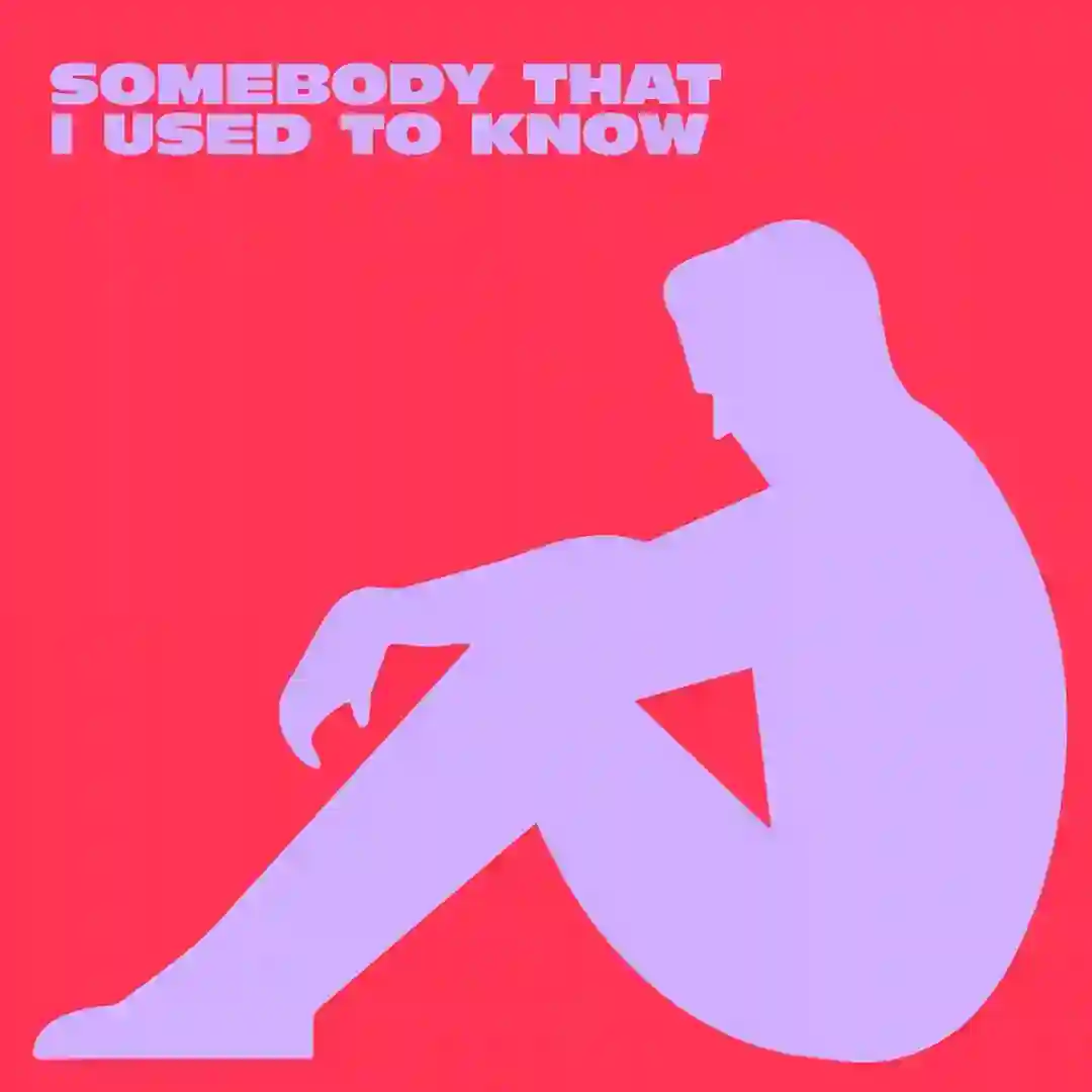 Somebody That I Used To Know (Extended Mix) cover