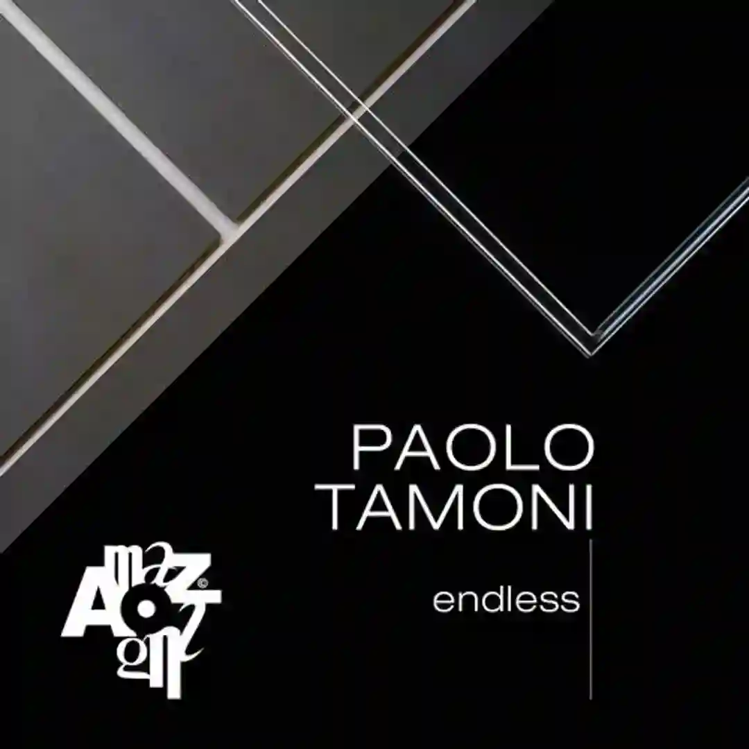 Endless (Original Mix) cover