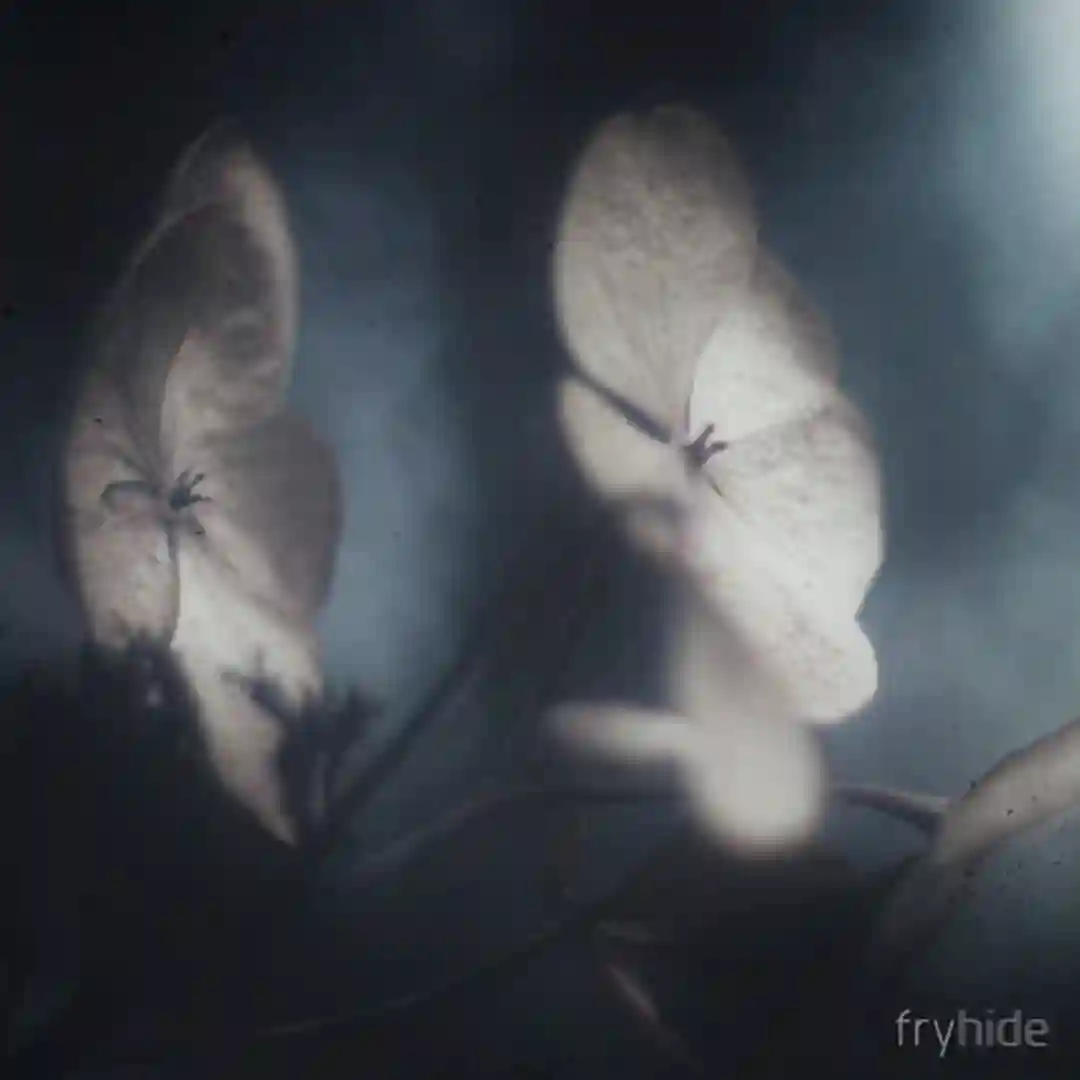 Polyna (Original Mix) cover