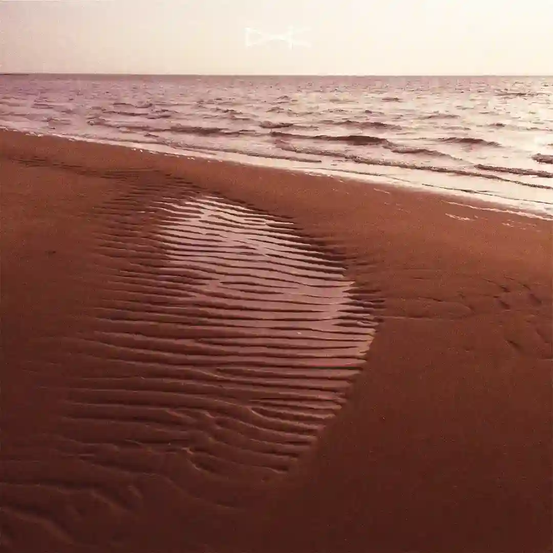 Micromi cover