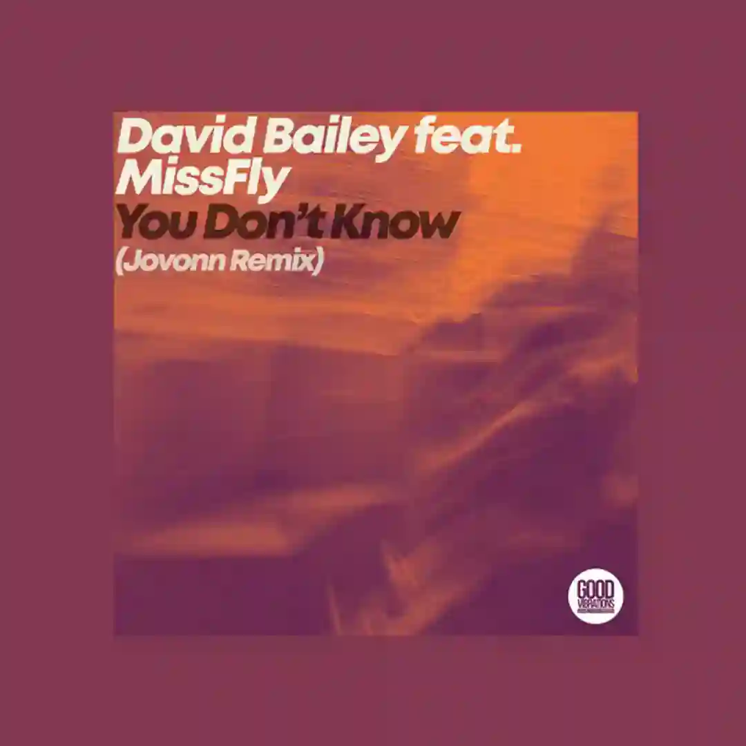 You Don't Know (Jovonn Remix) cover