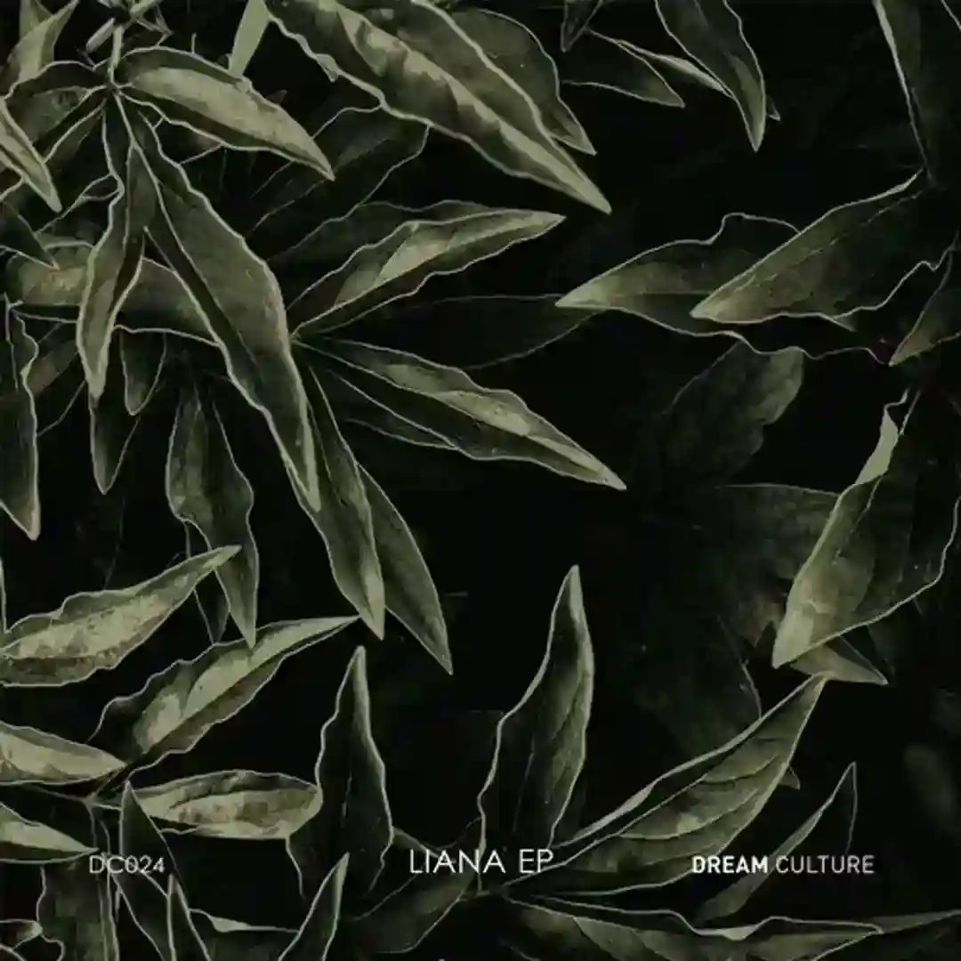 Ilanga (Original Mix) cover