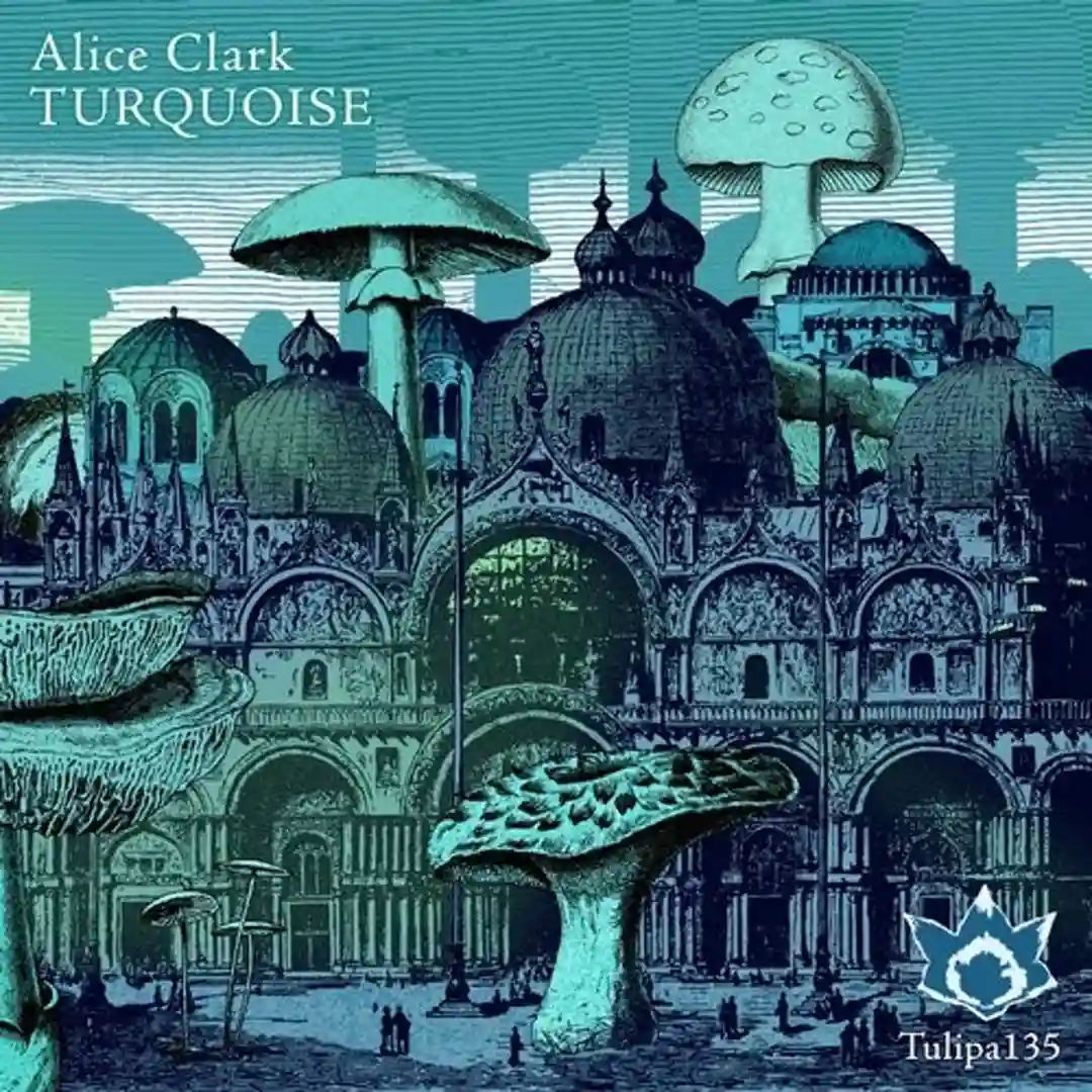 Turquoise cover