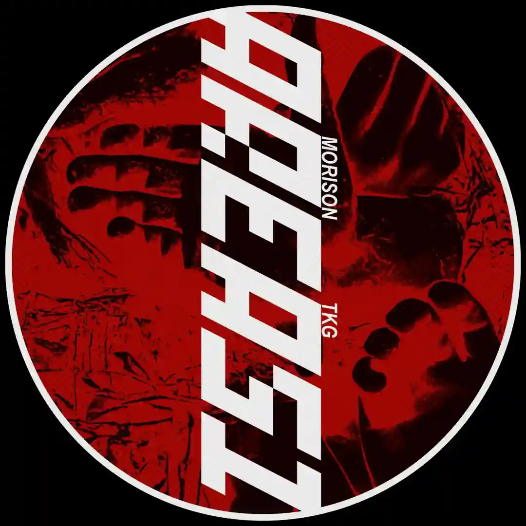 Are You Nutt (Original Mix) cover