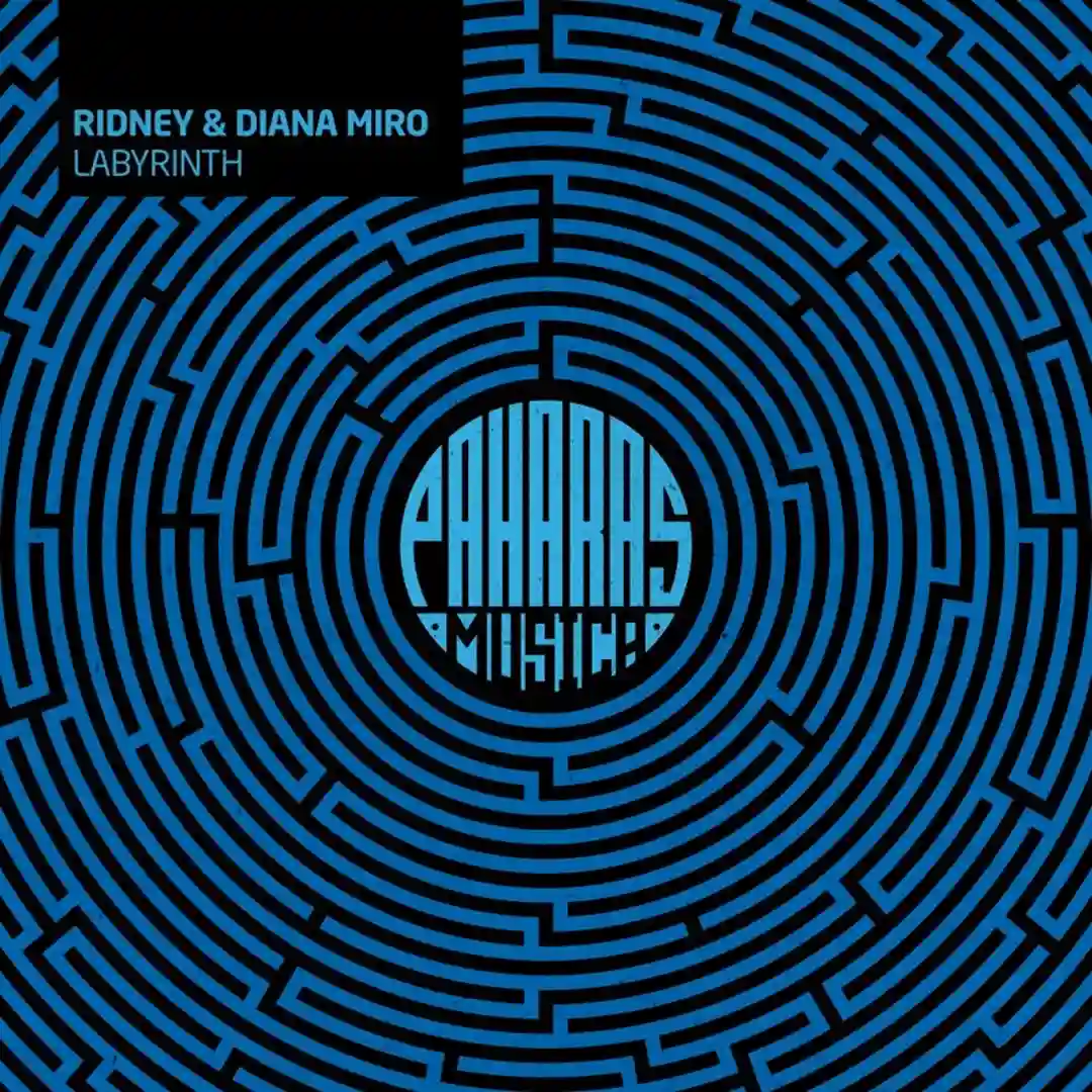 Labyrinth cover