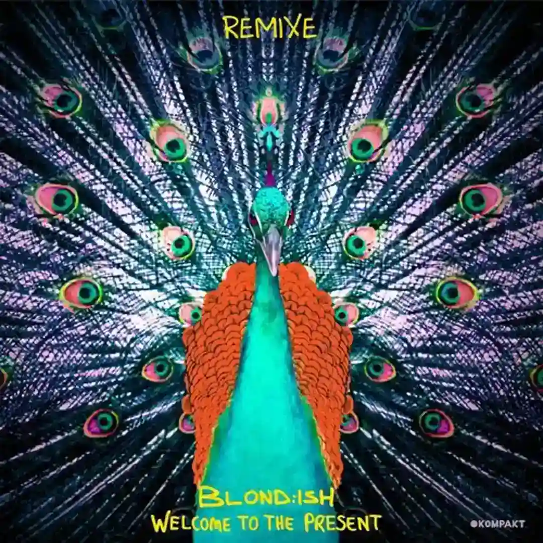 Mayan Caravam (NU AndÂ LUM Mix) cover