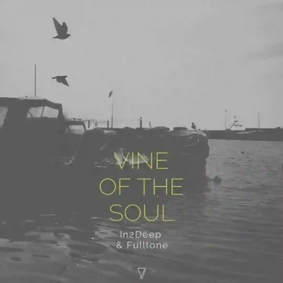 Vine of the Soul (Original Mix) cover