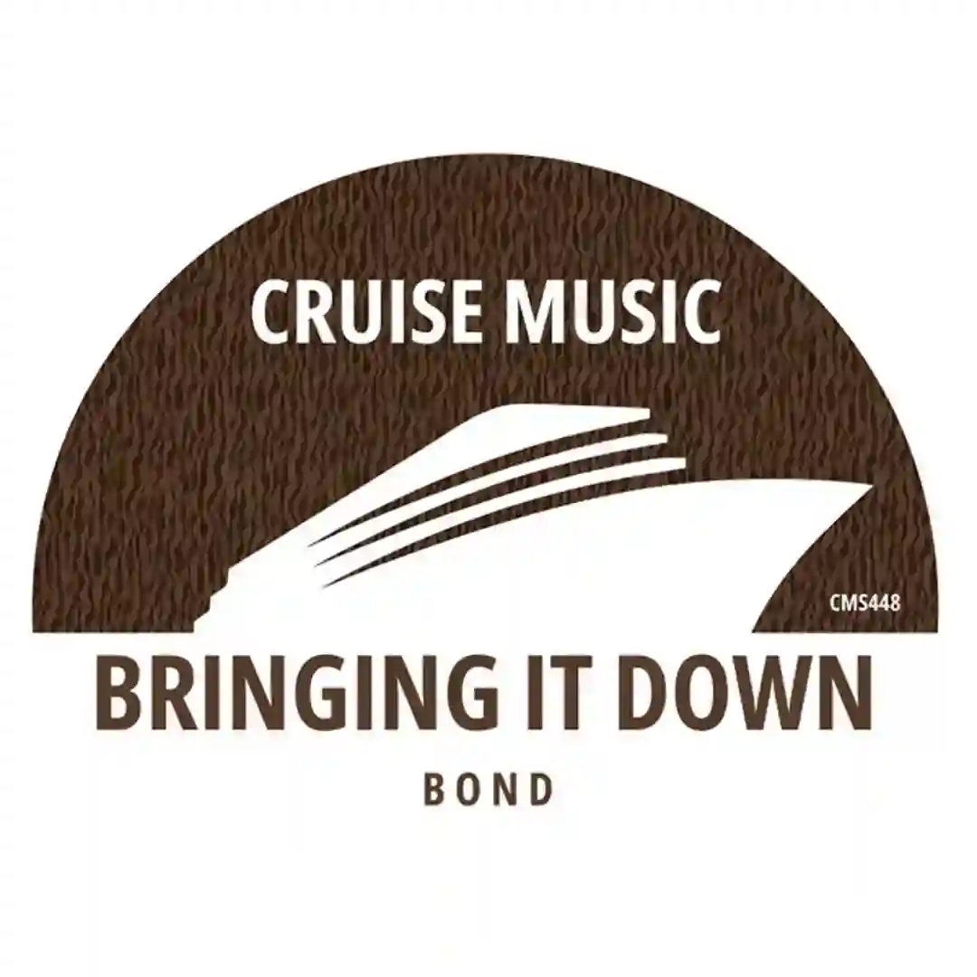 Bringing It Down cover