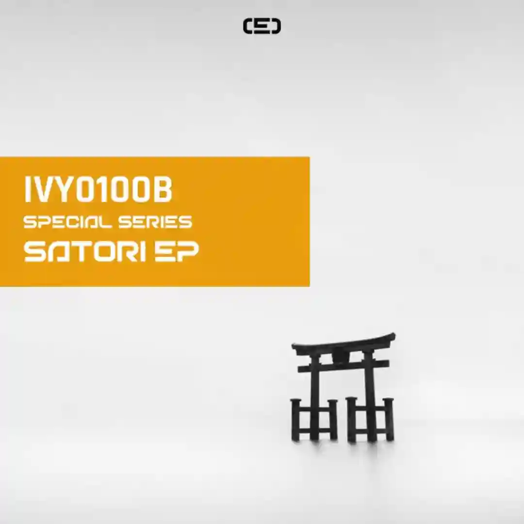 Zanshin (Original Mix) cover
