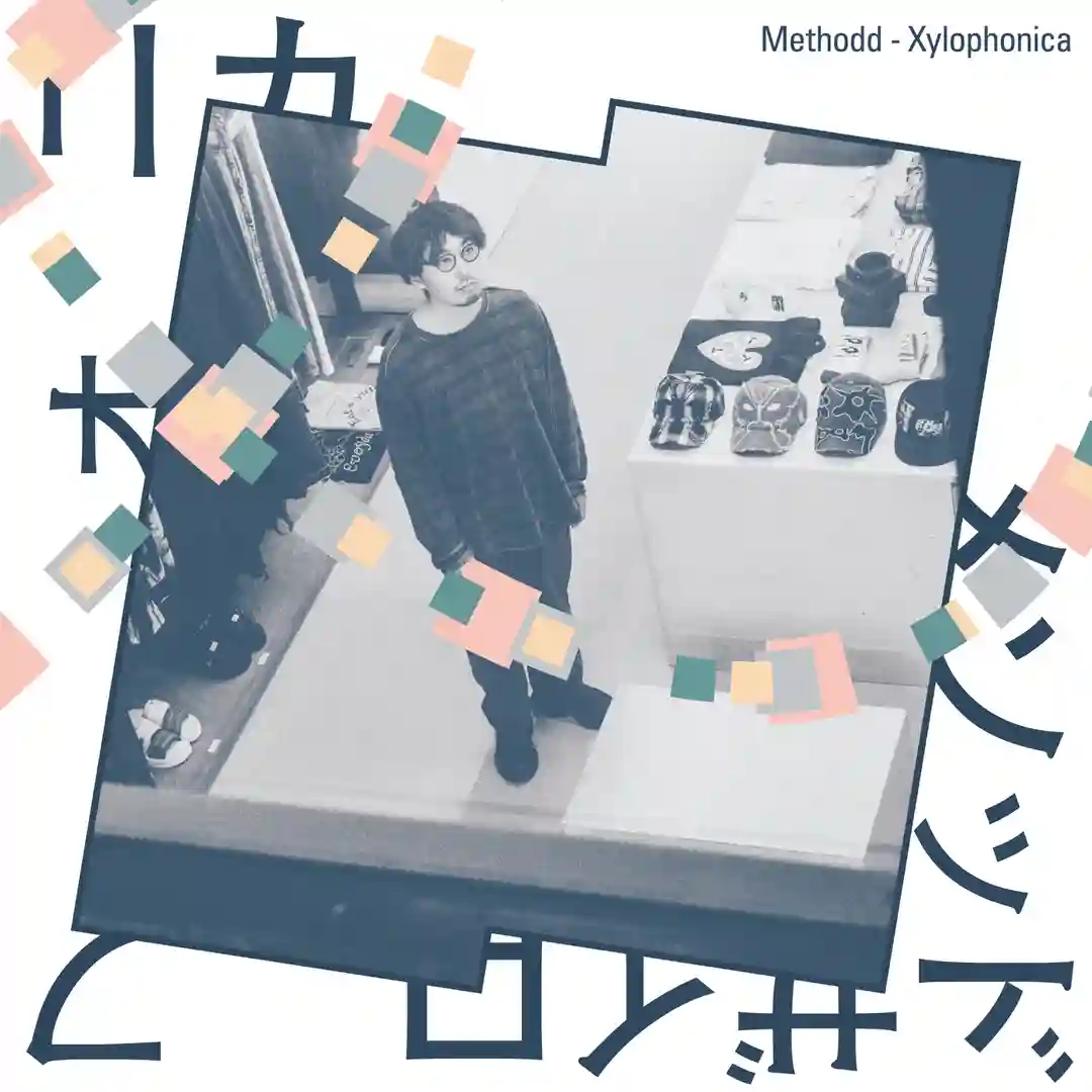 Xylophonica (Original Mix) cover