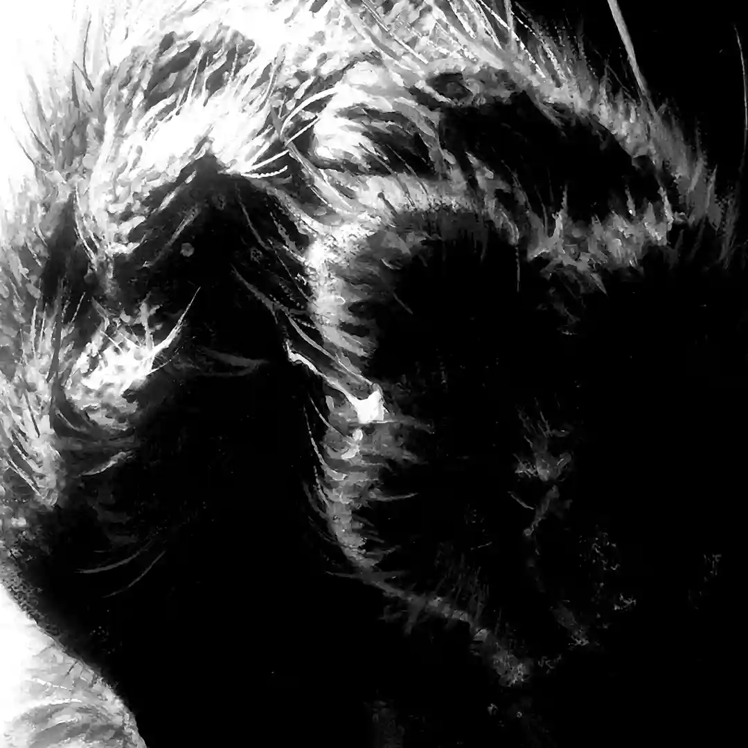 Adopting Abundance (Original Mix) cover