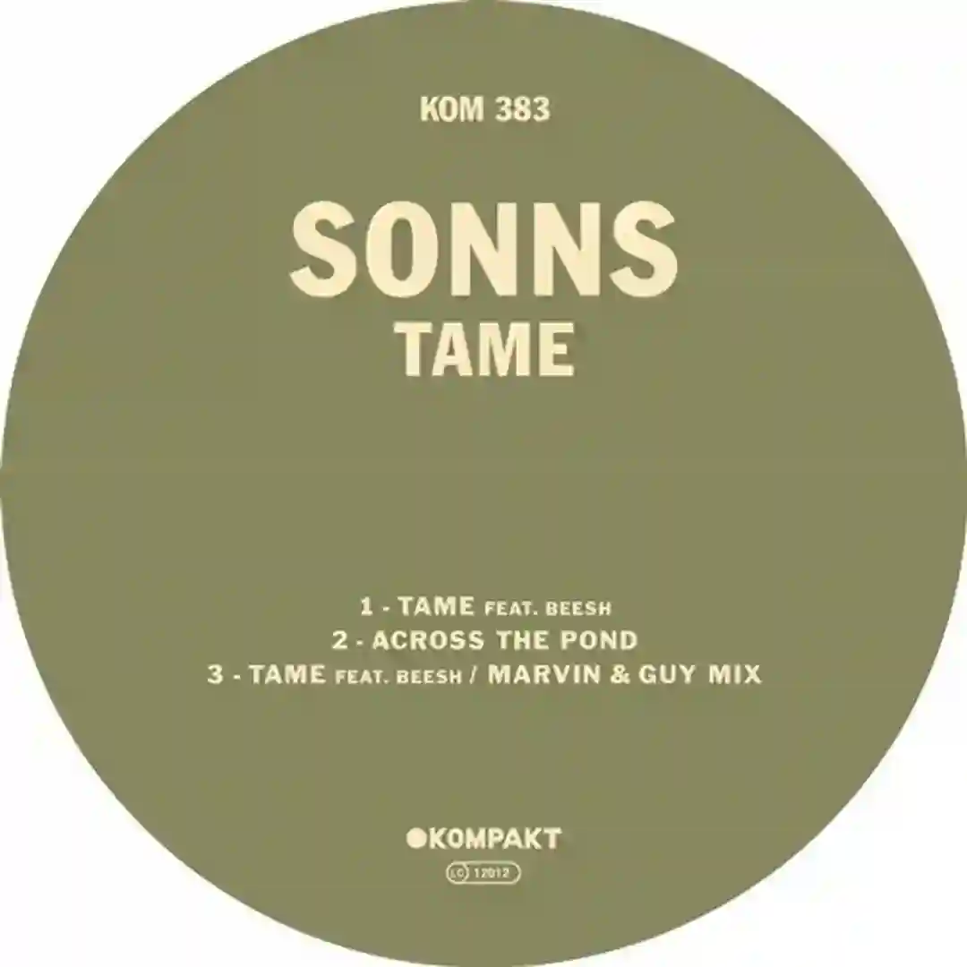 Tame feat. Beesh (Original Mix) cover