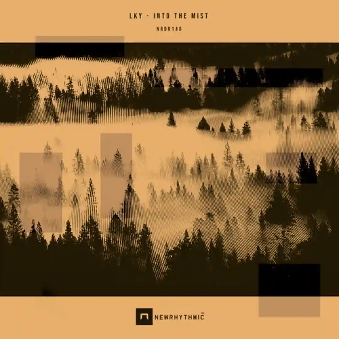 Zafu (Original Mix) cover